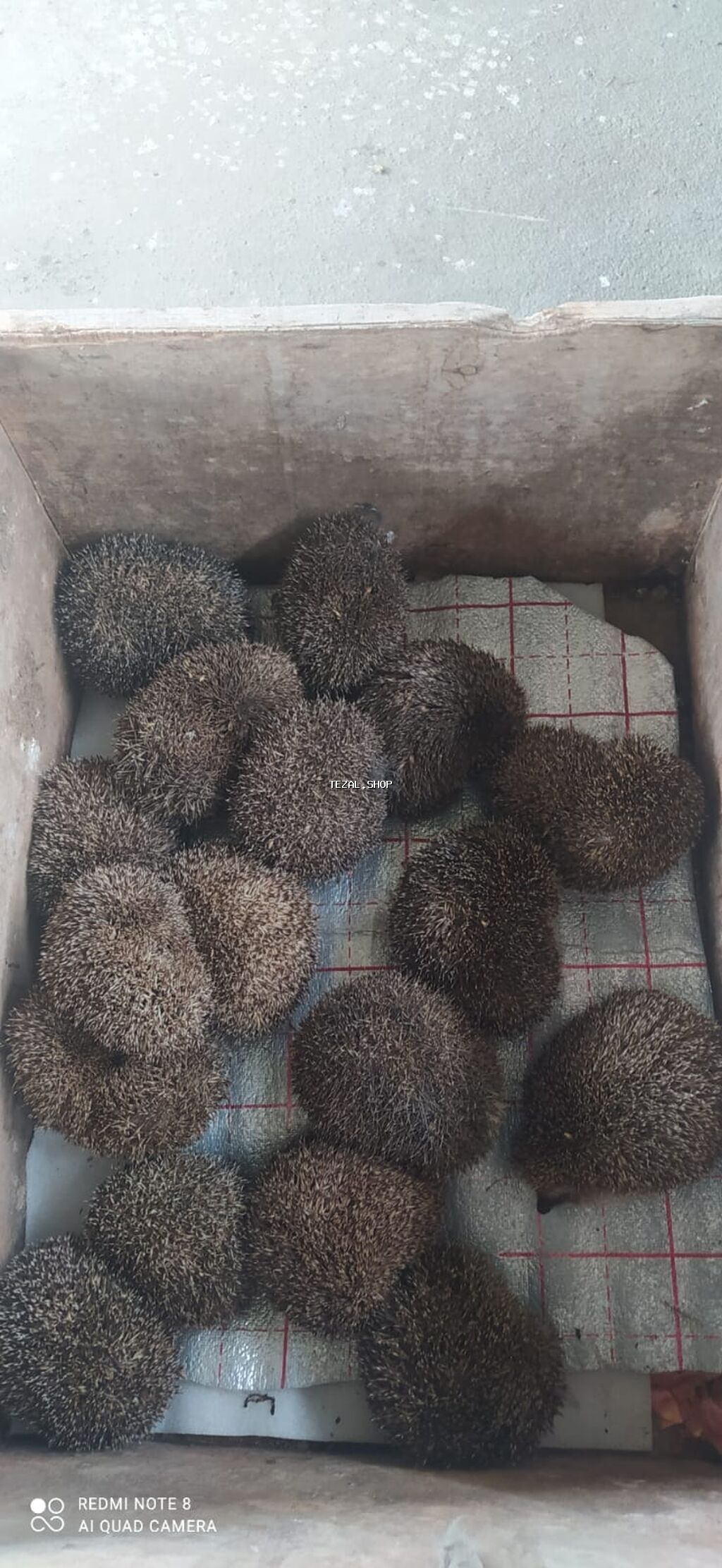 Yeni kirpilerimiz satisa geldi buyurun deyerli musterilerimiz bag