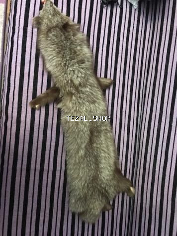 Продается новый воротник из писца - şəkil 3