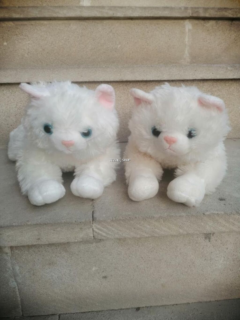 Yumşaq Oyuncaq Pişik cütü 20 Sumqayıt