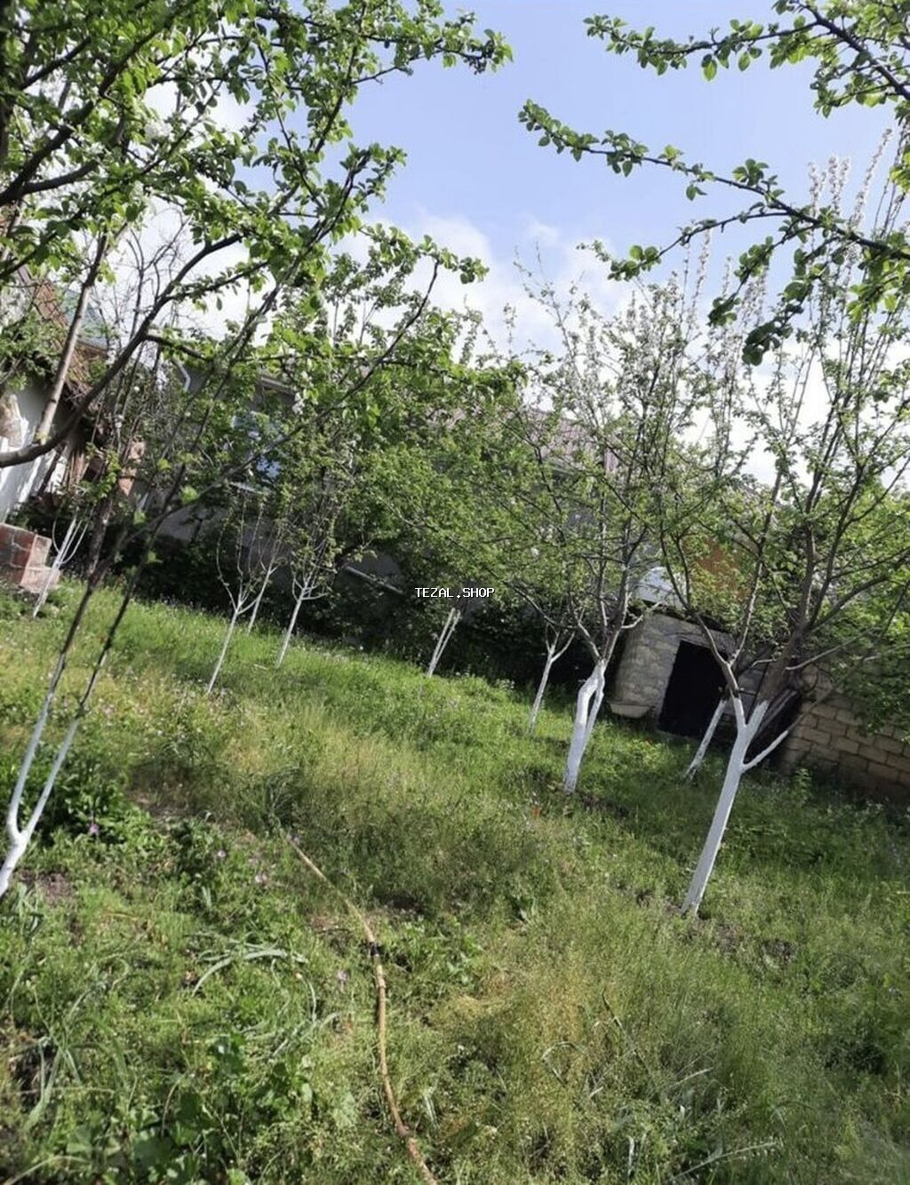 16 sot, Tikinti, Mülkiyyətçi, Kupça (Çıxarış) - şəkil 2