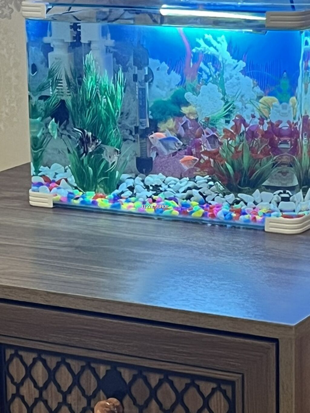 Dördbucaq akvarium, Balıqlarla birlikdə, 20 l, Ünvandan götürmə