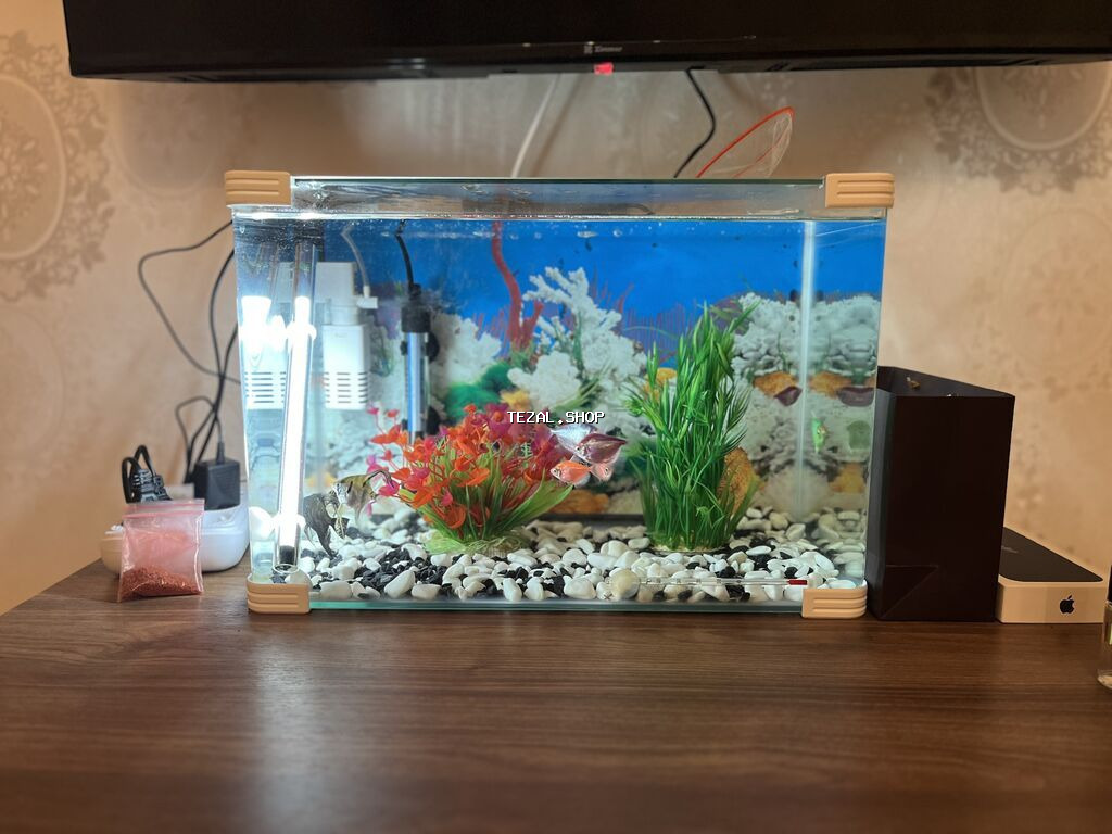 Dördbucaq akvarium, Balıqlarla birlikdə, 20 l, Ünvandan götürmə - şəkil 3