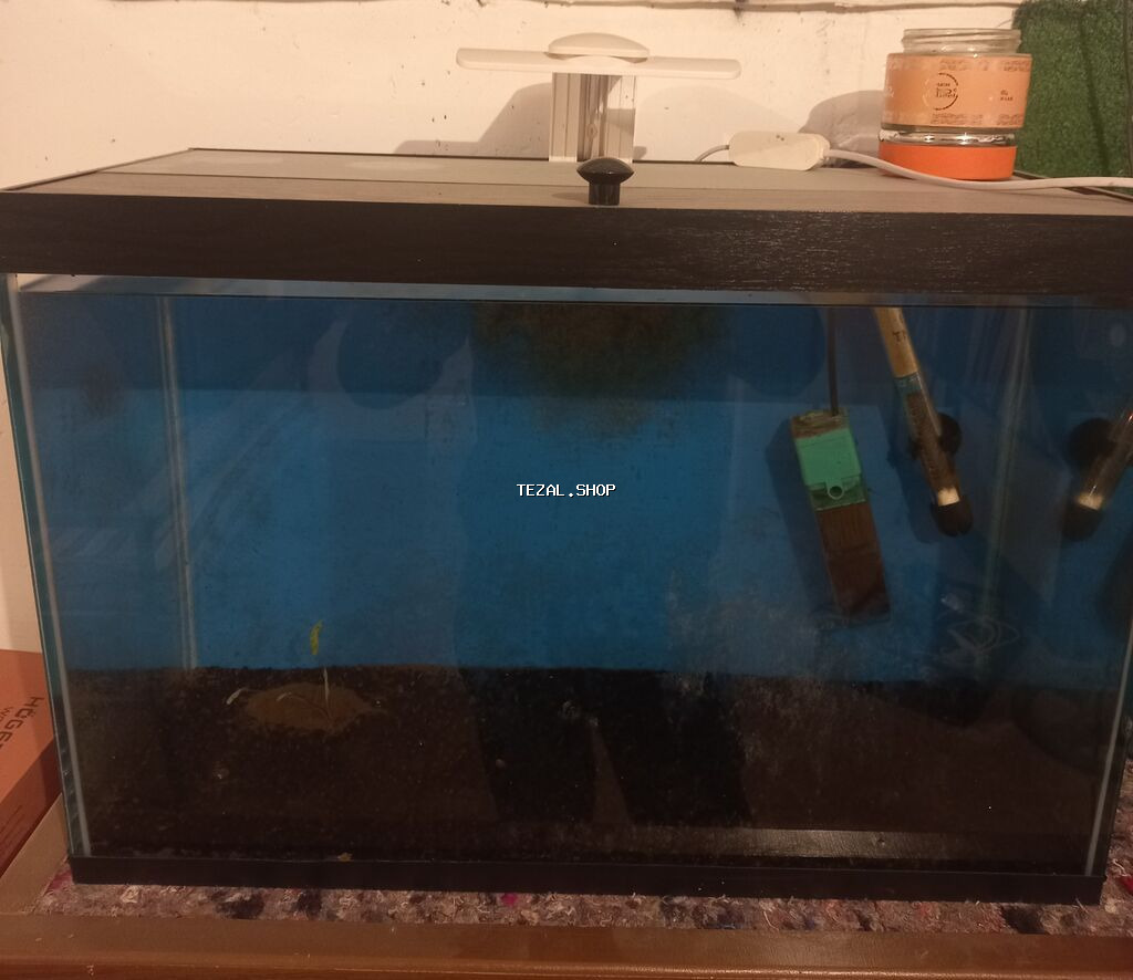 3 ededdir akvarium bütün avadanlıqları ve balıqlarla birlikde