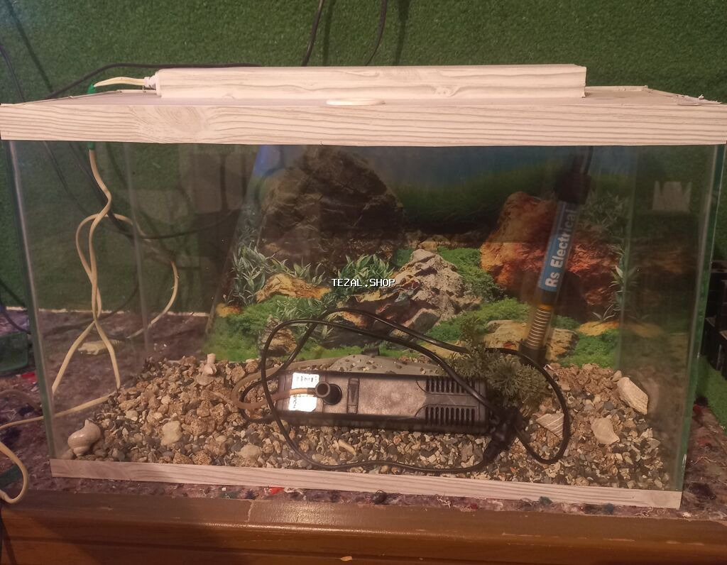 3 ededdir akvarium bütün avadanlıqları ve balıqlarla birlikde - şəkil 4