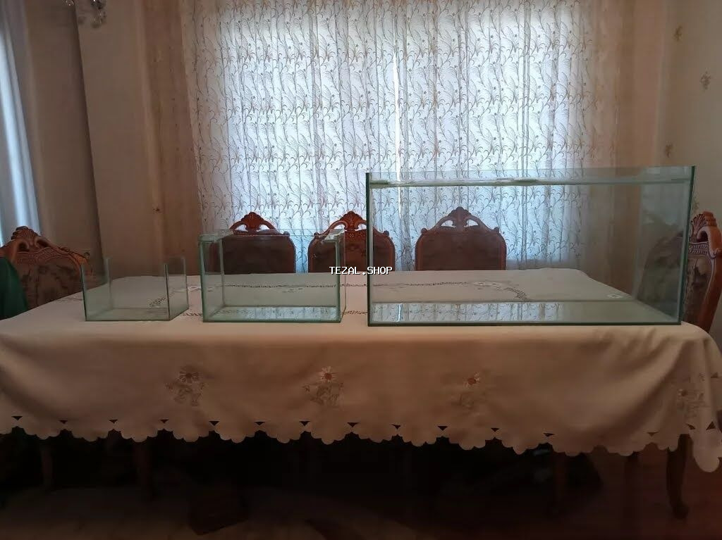 3 ədəd akvarium və akvarium aksesuarları dəsti. Bütün detallar işlək