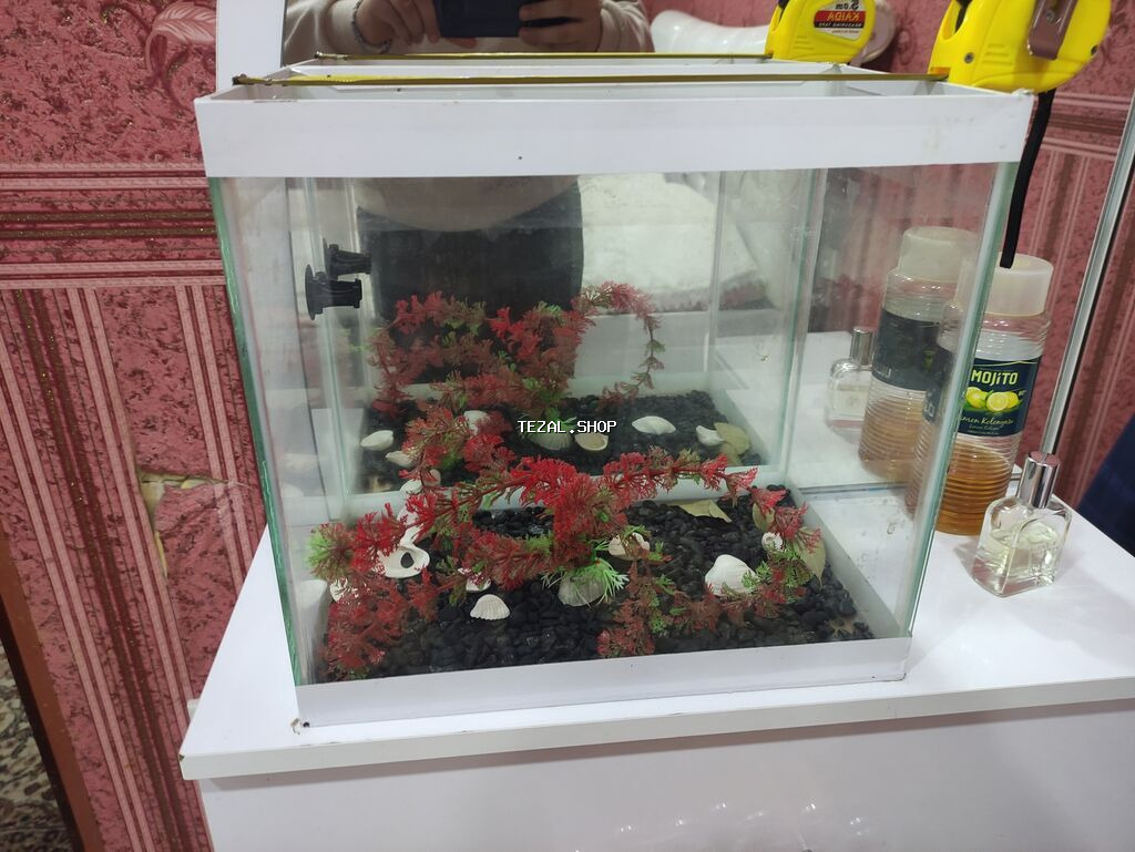 Akvarium+aksesuarlar sm lar şəkildə qey olunub