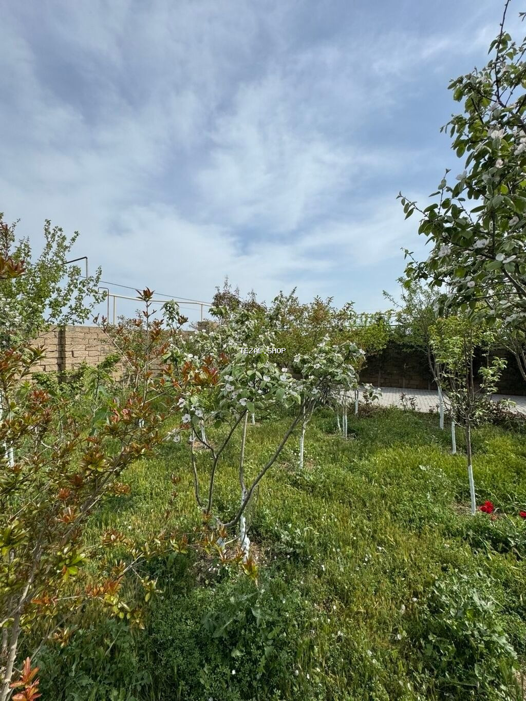 Bakı, Zirə qəs., 100 kv. m, 4 otaqlı, Artezian quyusu, İnternet, Kombi - şəkil 4