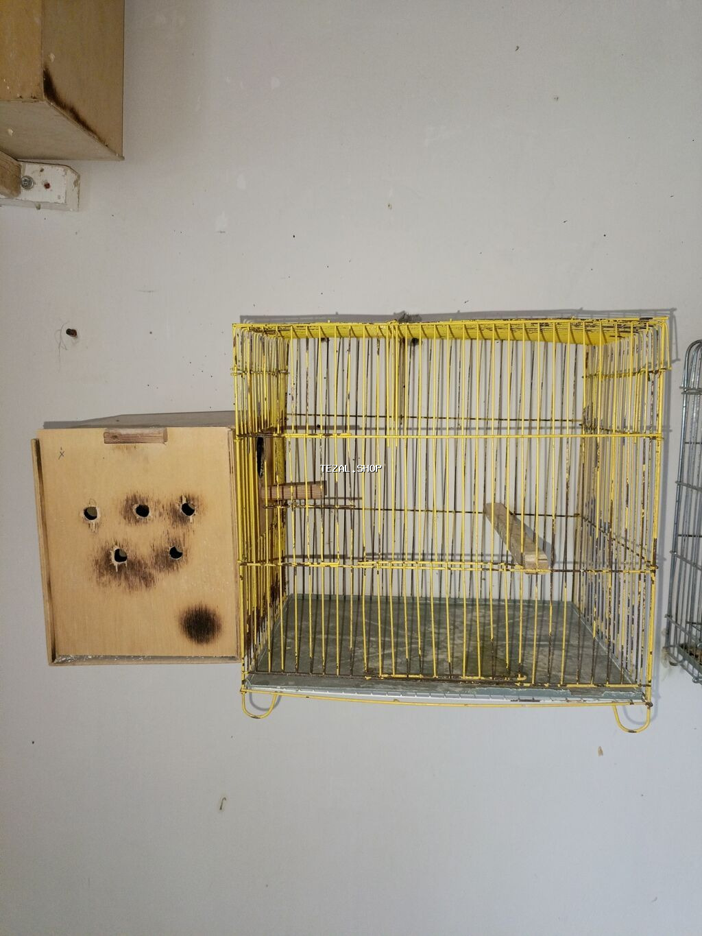 Qəfəs folluqlu yuva