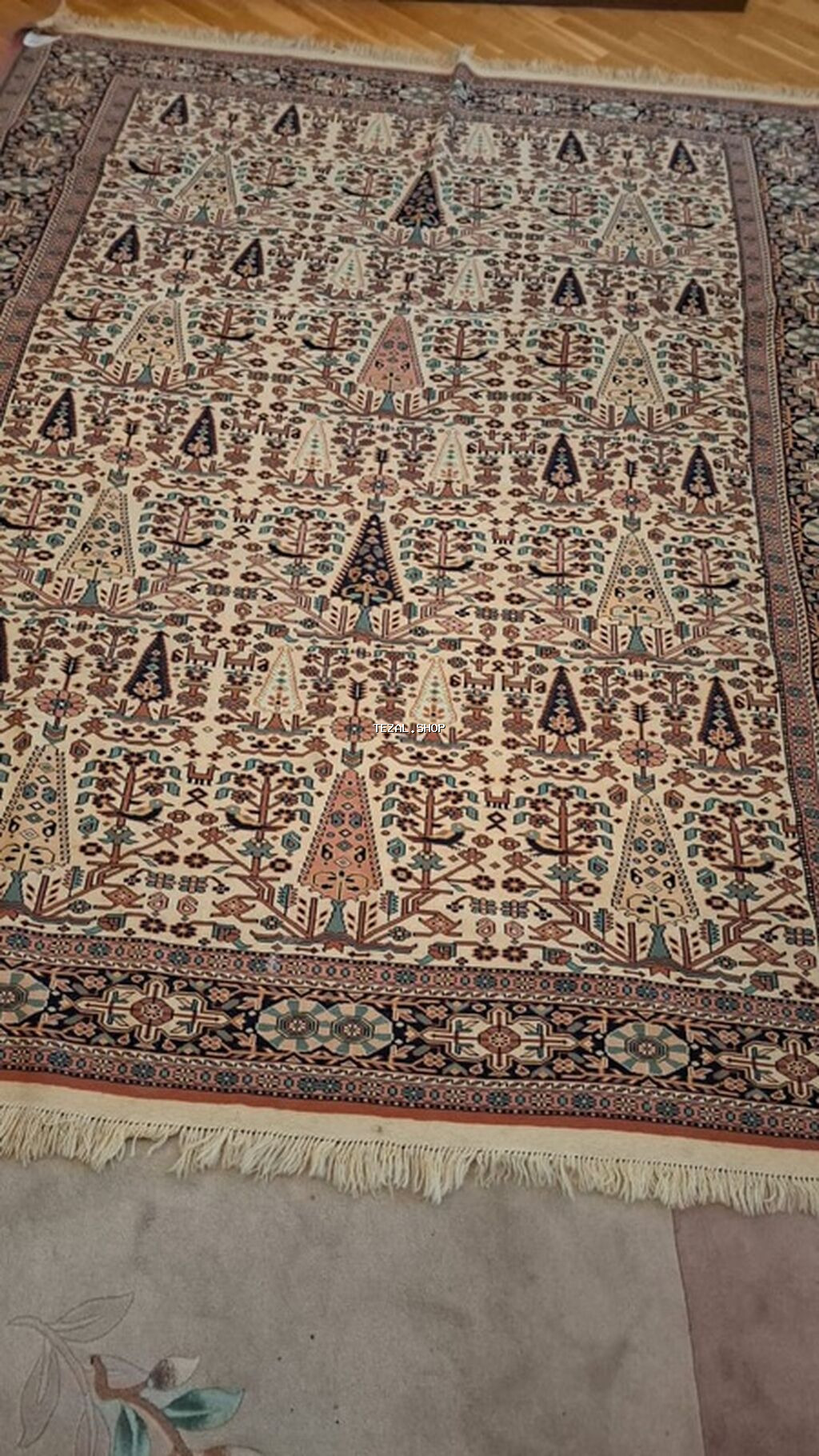 Kolleksiya dəyəri olan, orijinal İrandan gəlmə "Sərv-Bəxtiyari" - şəkil 2