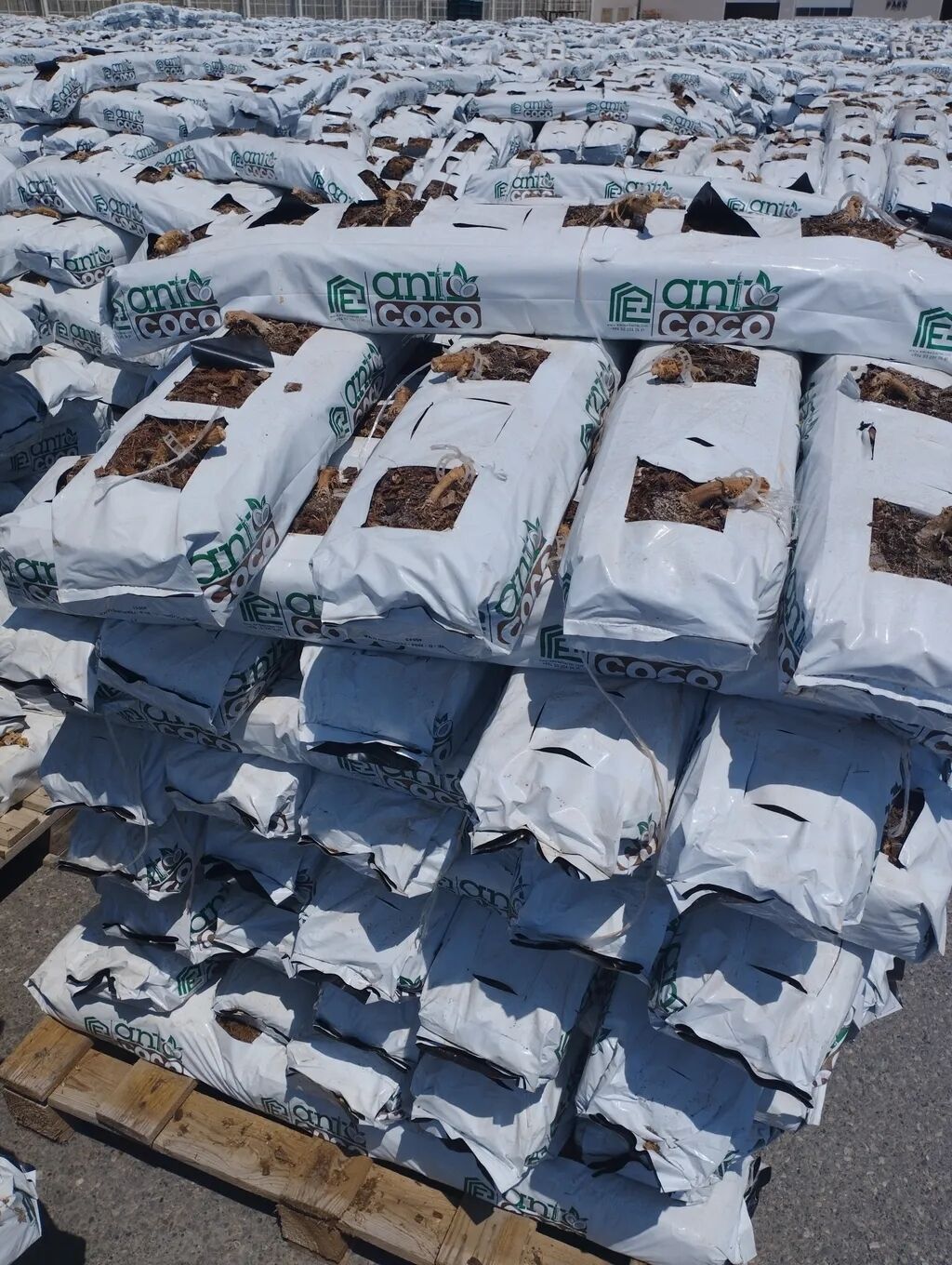 Bağ və parniklər üçün kakobit satılır. əlavə məlumat üçün zəng edin