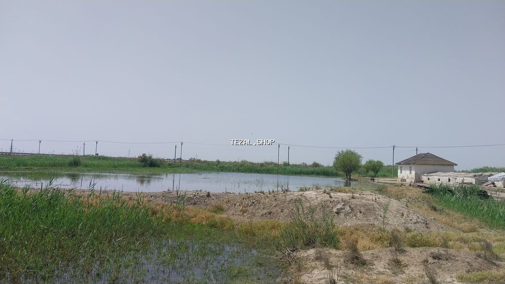 8 sot, Kənd təsərrüfatı, Maklerlər narahat etməsin, Kupça (Çıxarış)