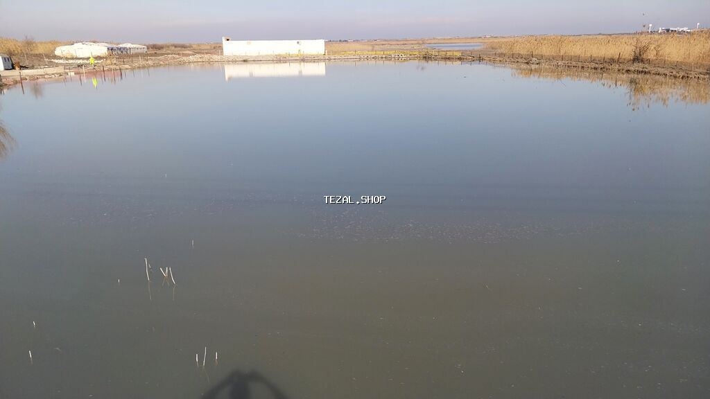 8 sot, Kənd təsərrüfatı, Maklerlər narahat etməsin, Kupça (Çıxarış) - şəkil 2