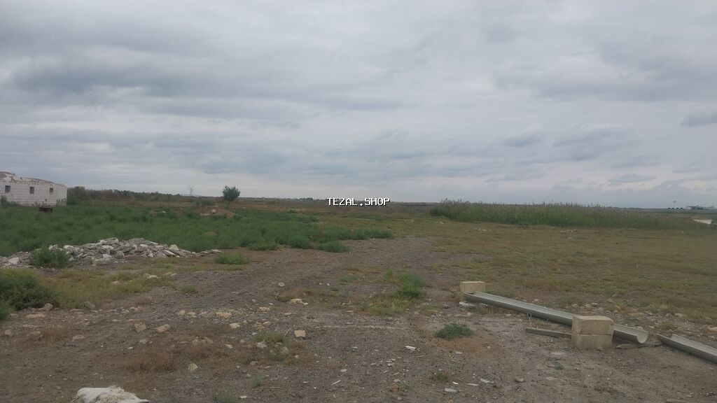 8 sot, Kənd təsərrüfatı, Maklerlər narahat etməsin, Kupça (Çıxarış) - şəkil 3