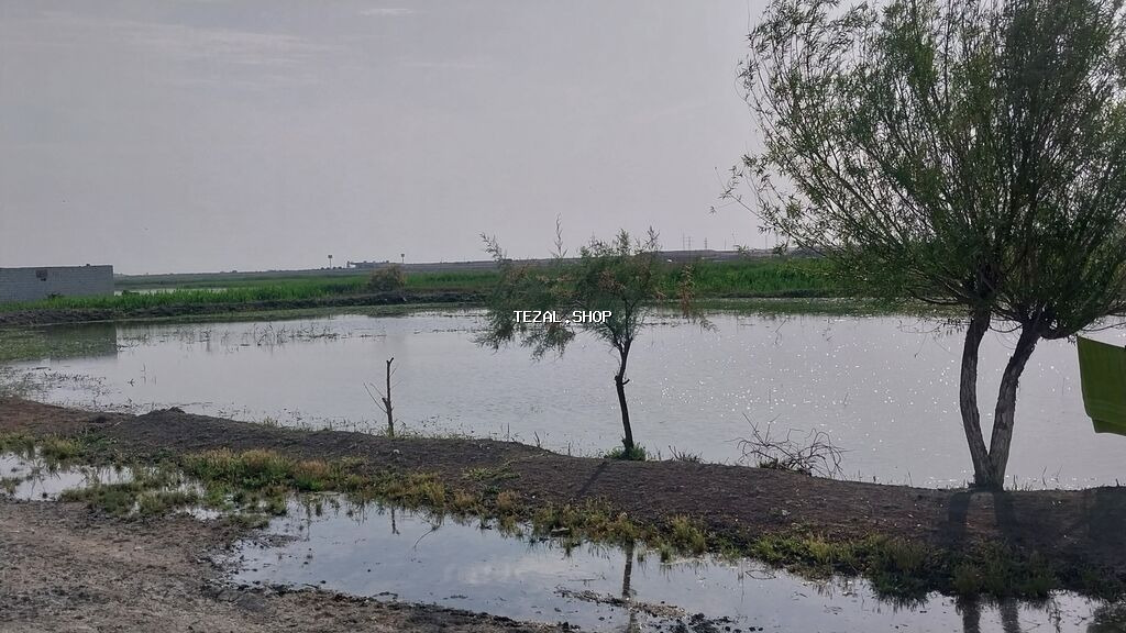 8 sot, Kənd təsərrüfatı, Maklerlər narahat etməsin, Kupça (Çıxarış) - şəkil 4