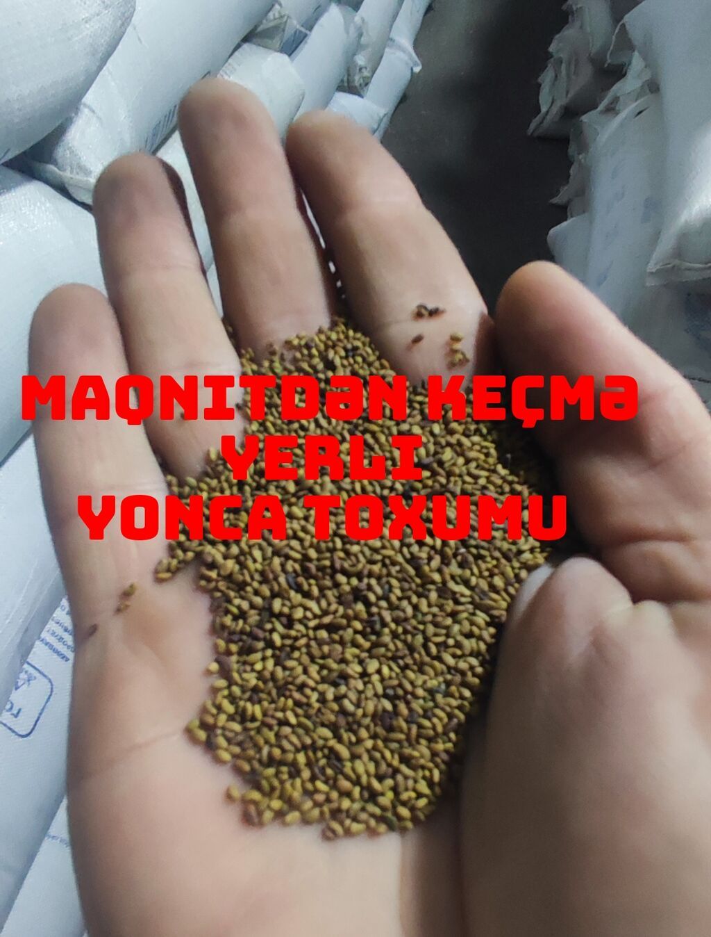 Salam əziz əkinçilər sizləri yerli və maqnitdən çıxma yonca toxumu