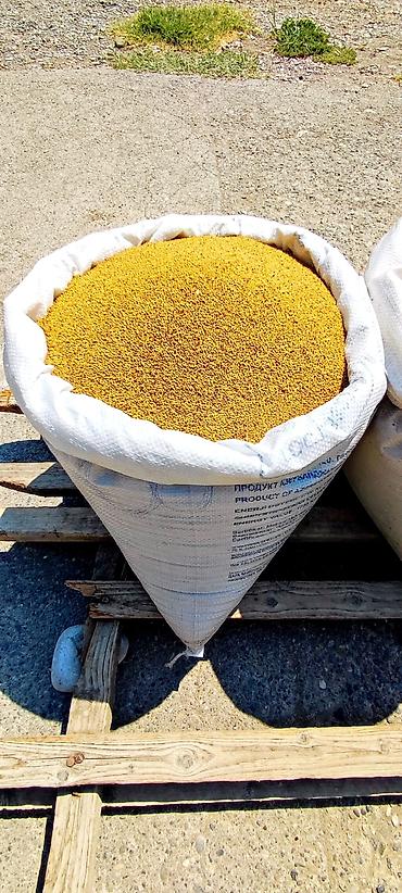 Yerli yonca toxumu Təmizlənmiş toxumdu,uzun ömürlü,enli yarpaqboyu - şəkil 2