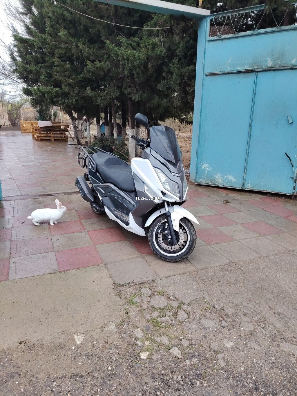 Skuter – şəhər içi və uzun məsafələr üçün komfortlu maxi-skuter