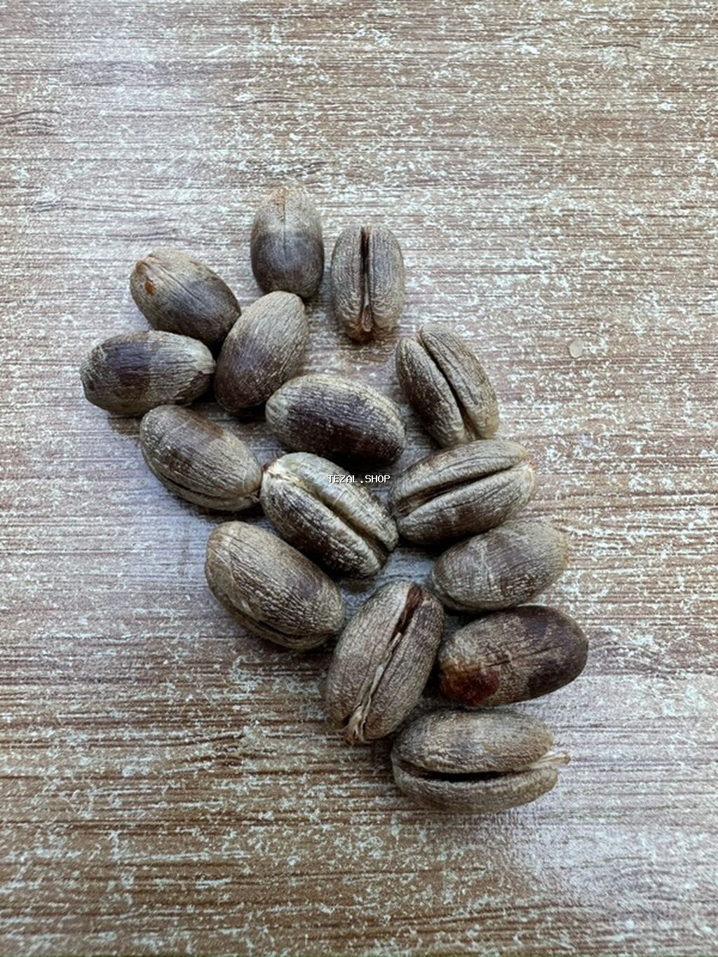 Finik toxumu ve hazir qabda olan satılır 95 % cıxır . Xarici yaxşı