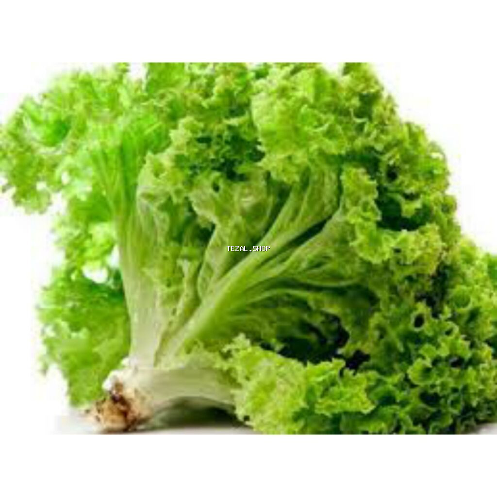 Rukolla var . Yalnız whatsappda yazın - şəkil 4