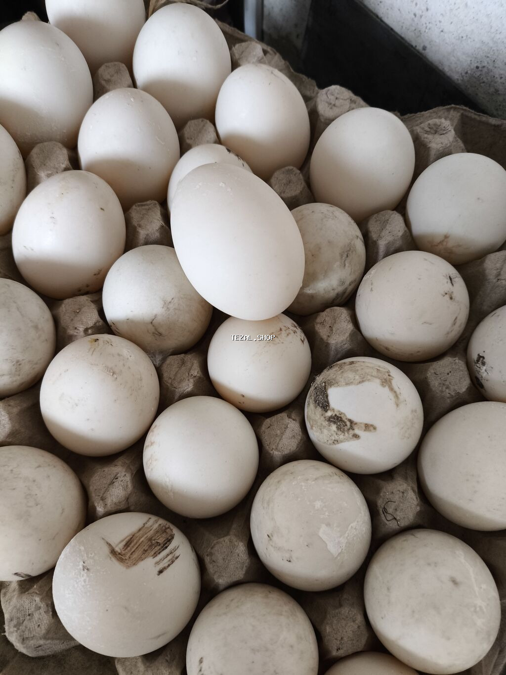 0.40 qəpk Ordey yumrtasi tam mayali yumrta kime lazm olsa isdelinen