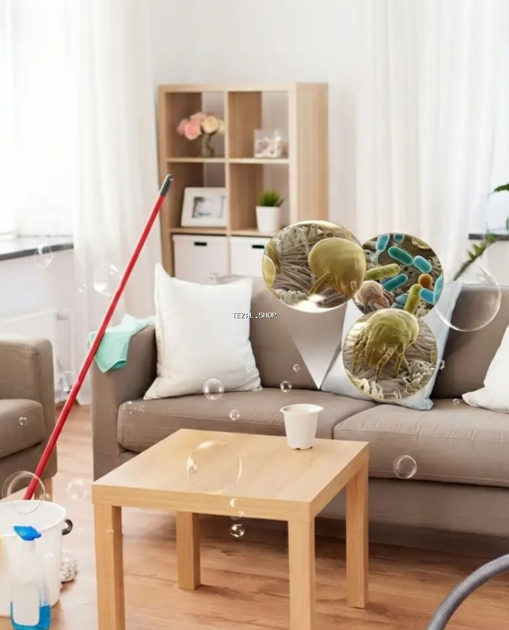 Təmizlik | Evlər, Kafe, mağazalar, Girişlər | Gündəlik təmizlik, Təmirdən sonra təmizlik, Pəncərələrin, fasadların yuyulması