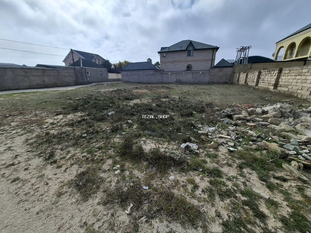 6 sot, Tikinti, Kupça (Çıxarış)