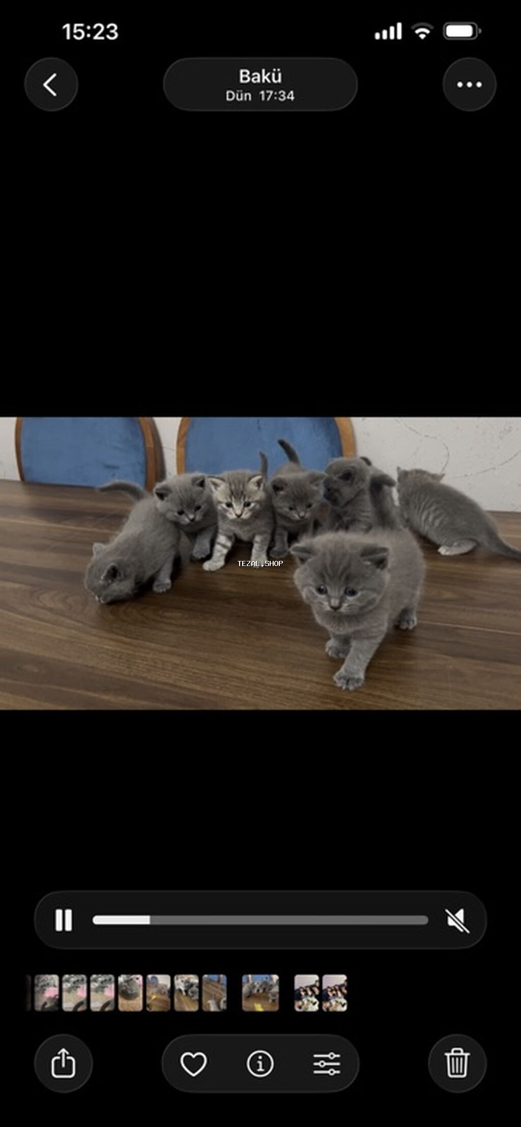 Britan, Erkək, Dişi, Yaxşı əllərə, Ünvandan götürmə