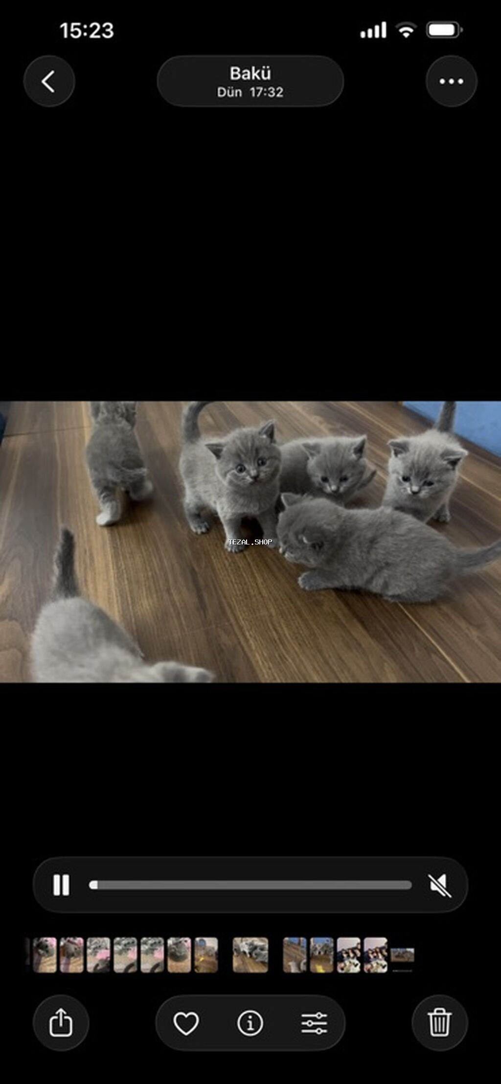 Britan, Erkək, Dişi, Yaxşı əllərə, Ünvandan götürmə - şəkil 2