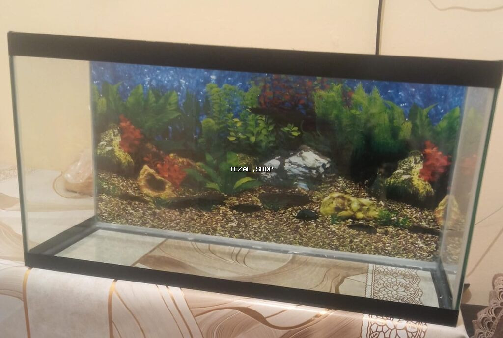 Dördbucaq akvarium, Boş, 25 l, Ünvandan götürmə, Ödənişli çatdırılma