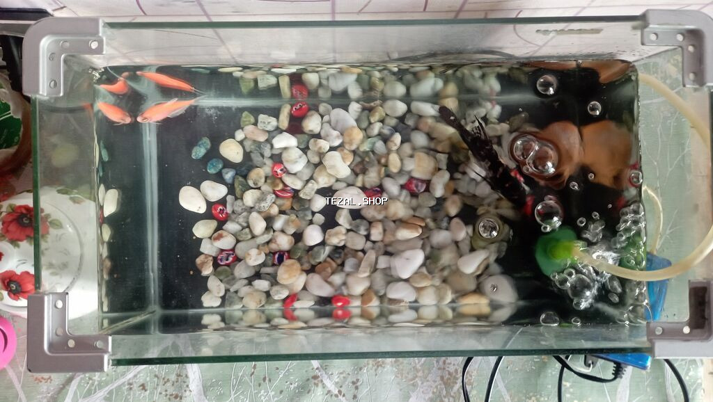 Akvaryum komplekti - Şüşə akvarium: düzbucaqlı, yanlarında