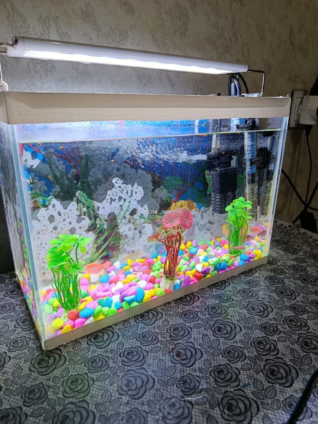 12 ədəd balığ var içinde, hava filtiri var qızdırıcı var işığı var 50