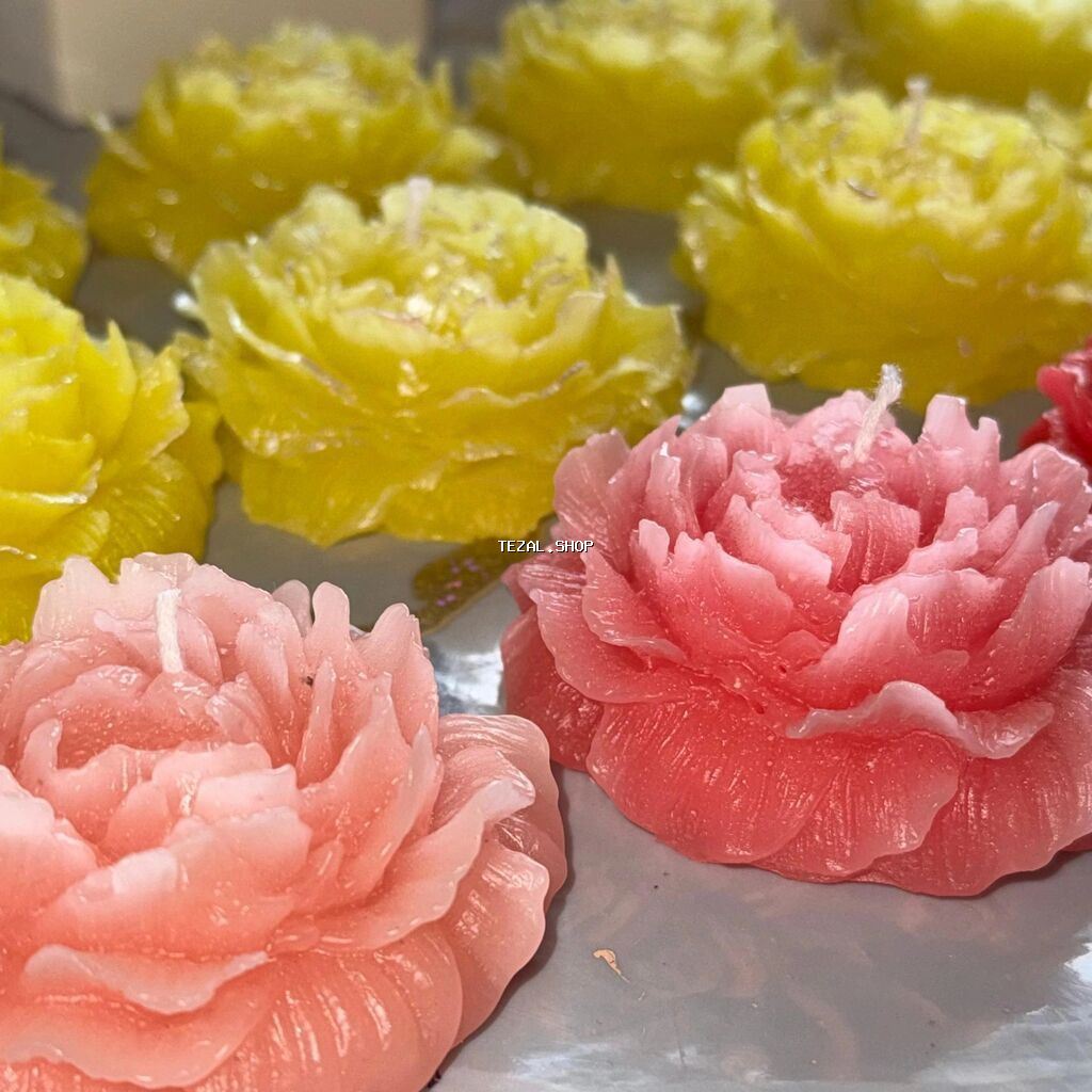 Şam Fiqurlu, Soya mumu - şəkil 3