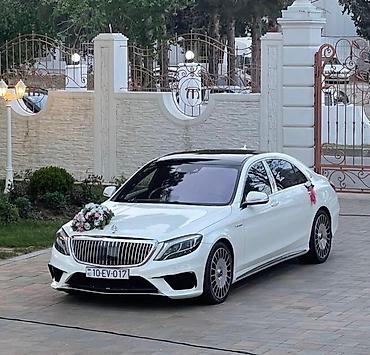 Rent A Car 929 – avtomobil icarəsi Təklif olunan modellər: - Toyota - şəkil 3