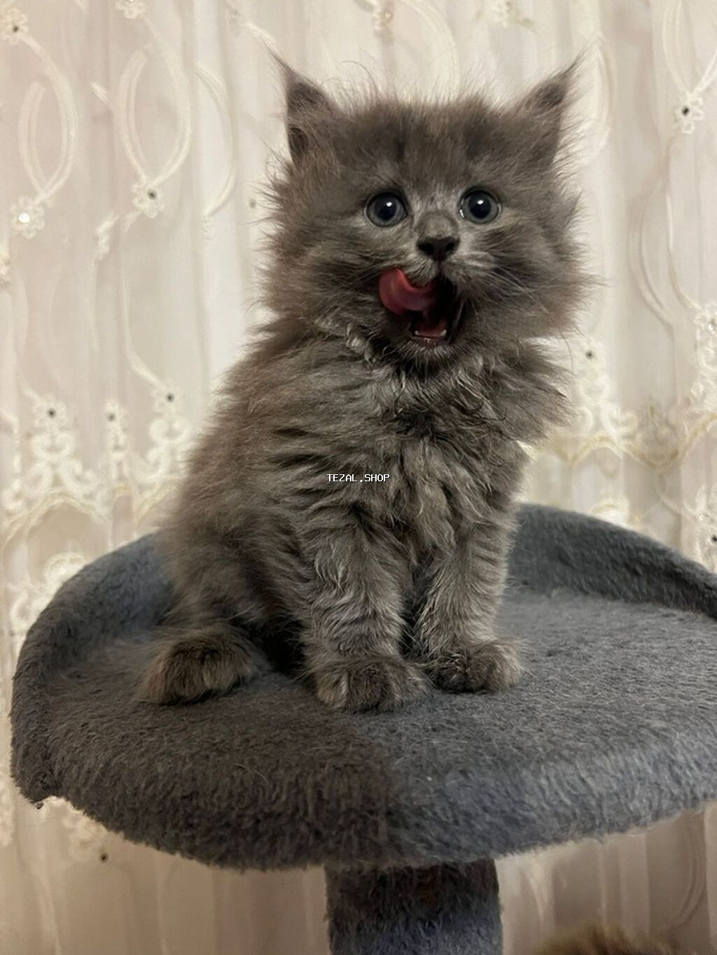 Erkək, Dişi, Yaxşı əllərə, Ünvandan götürmə