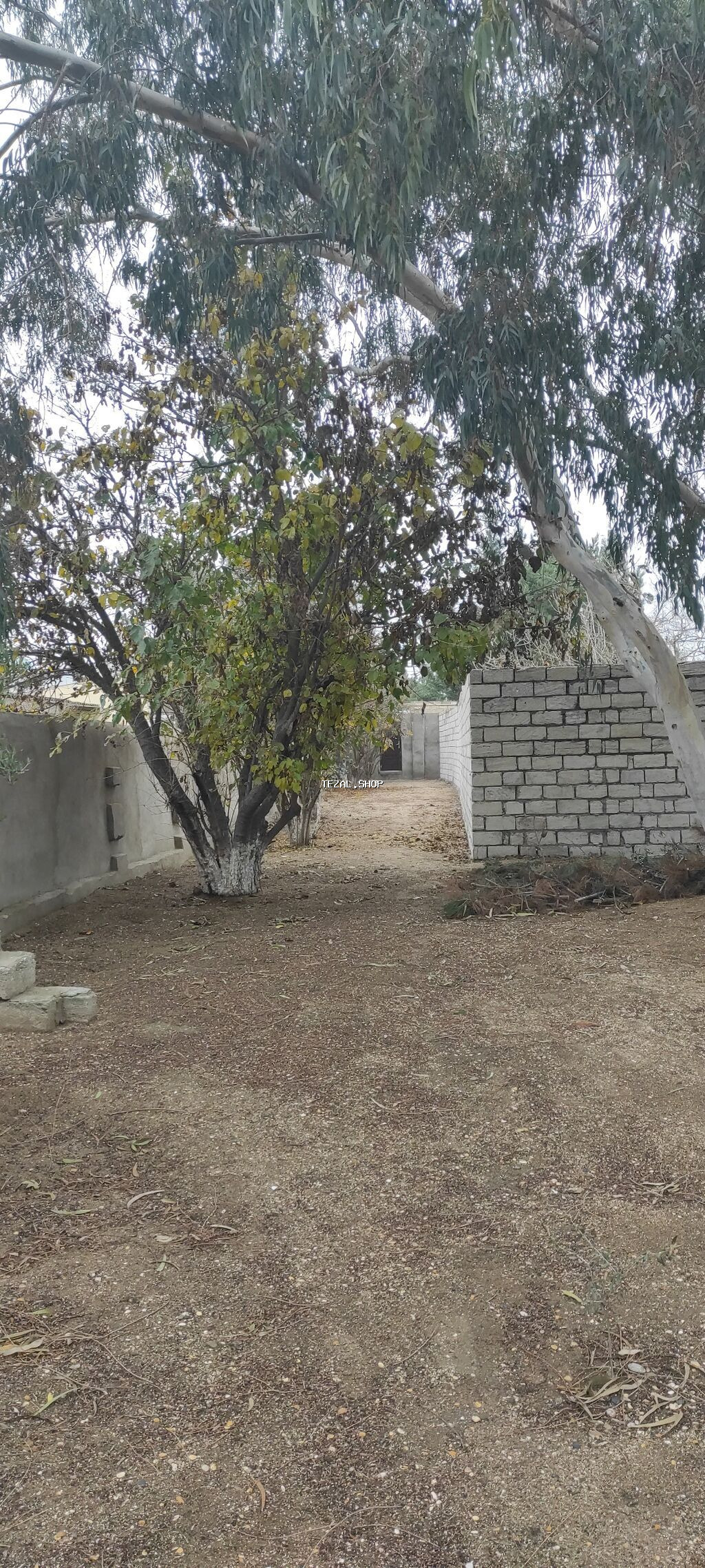 8 sot, Tikinti, Kupça (Çıxarış)