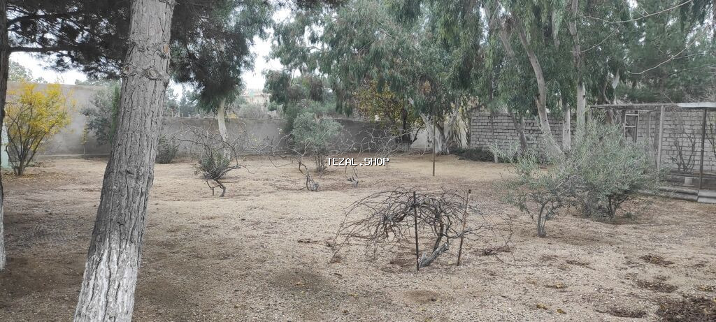 8 sot, Tikinti, Kupça (Çıxarış) - şəkil 2