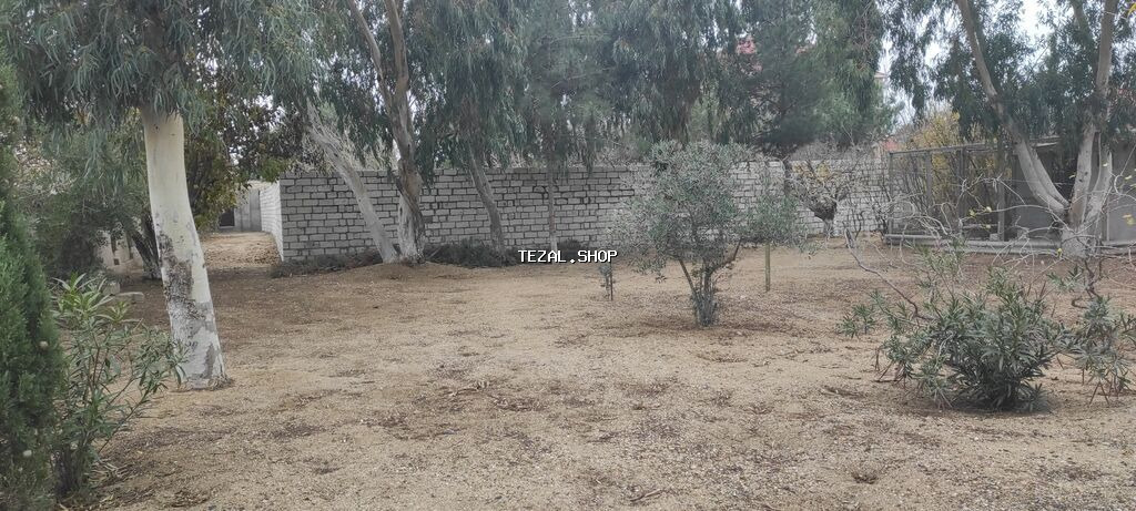 8 sot, Tikinti, Kupça (Çıxarış) - şəkil 3