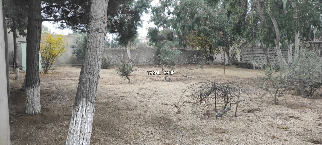 8 sot, Tikinti, Kupça (Çıxarış) - şəkil 4