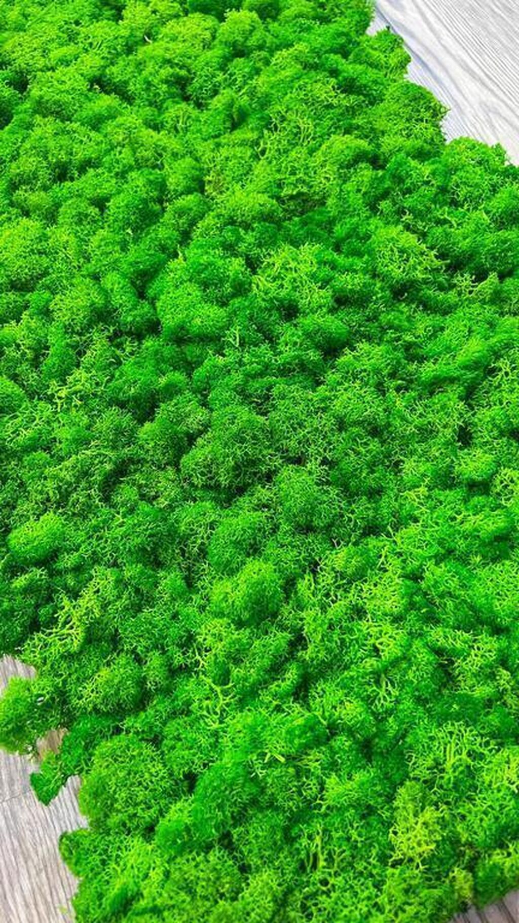 Təbii mamır qazonTəbii Mamır Qazon Ölçüləri: 30x30 sm Təbii mamır