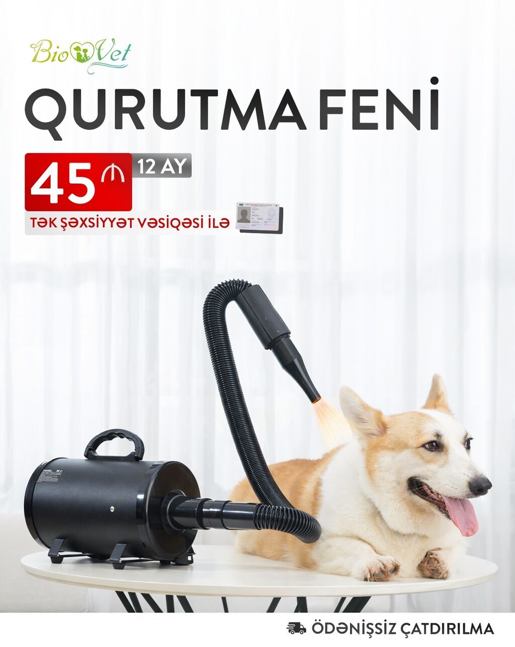 Peşəkar Heyvan Grooming Fen — sürətli qurulama, rahat baxım! Ev