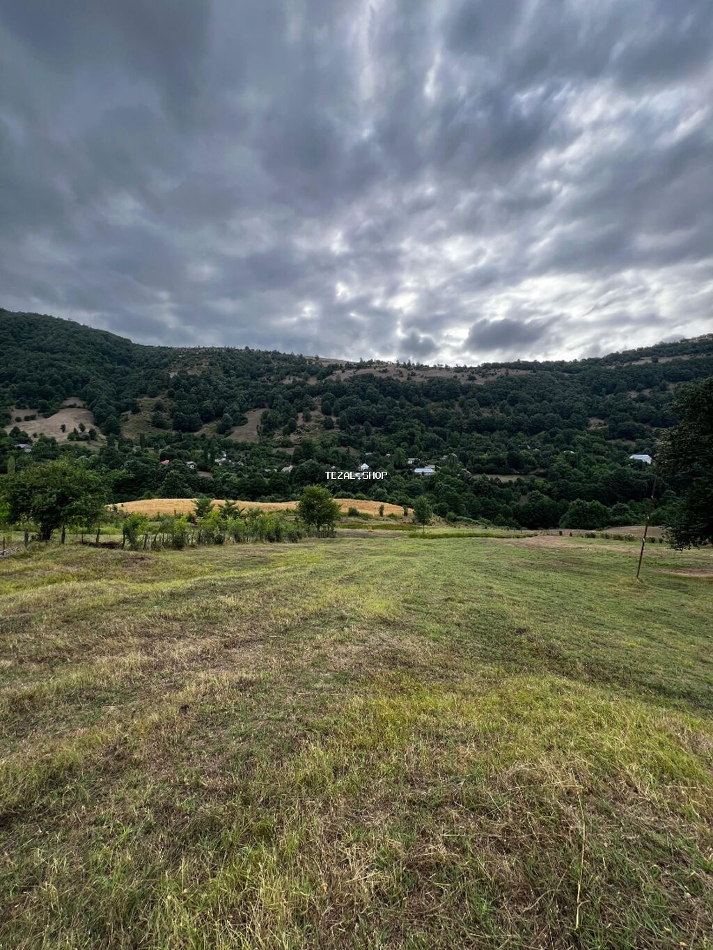 20 sot, Tikinti, Barter mümkündür, Kupça (Çıxarış)