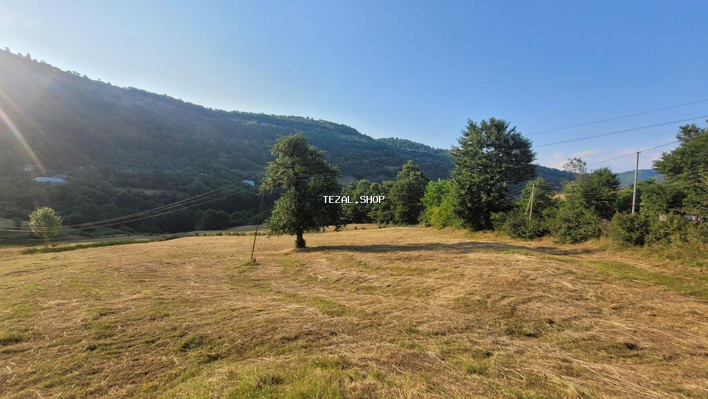 20 sot, Tikinti, Barter mümkündür, Kupça (Çıxarış) - şəkil 2