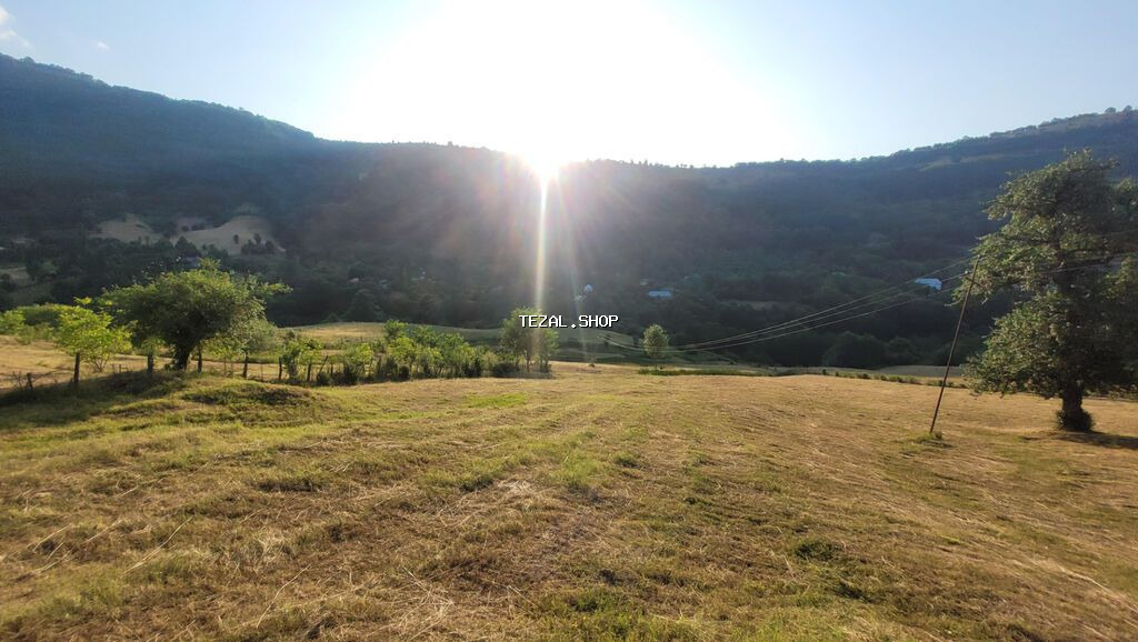 20 sot, Tikinti, Barter mümkündür, Kupça (Çıxarış) - şəkil 3