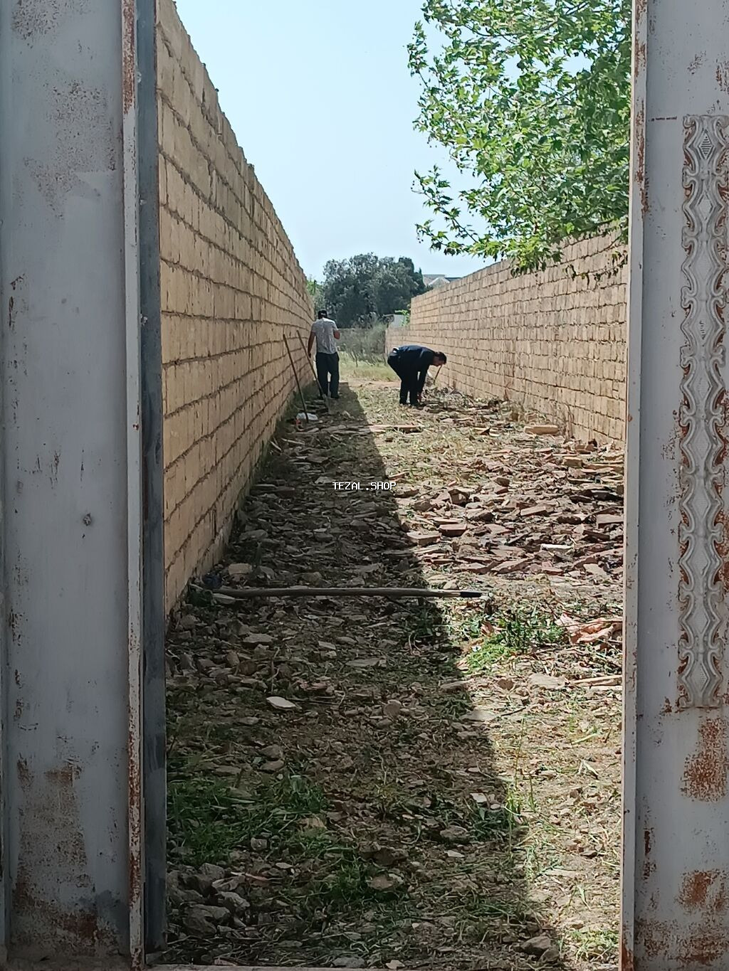 12 sot, Tikinti, Mülkiyyətçi, Kupça (Çıxarış)