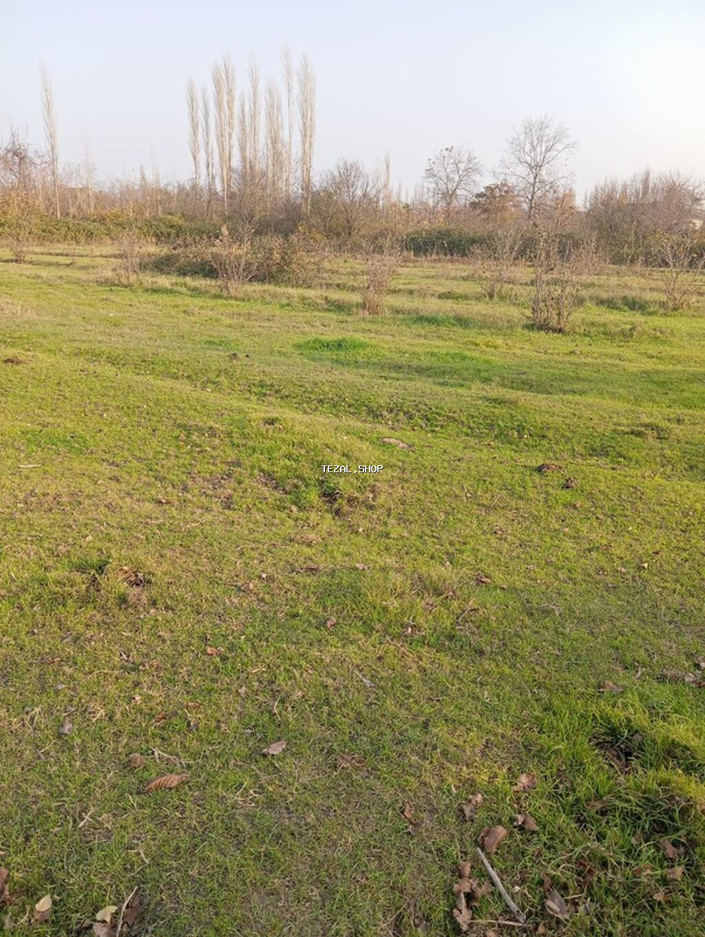 12 sot, Tikinti, Barter mümkündür, Kupça (Çıxarış)