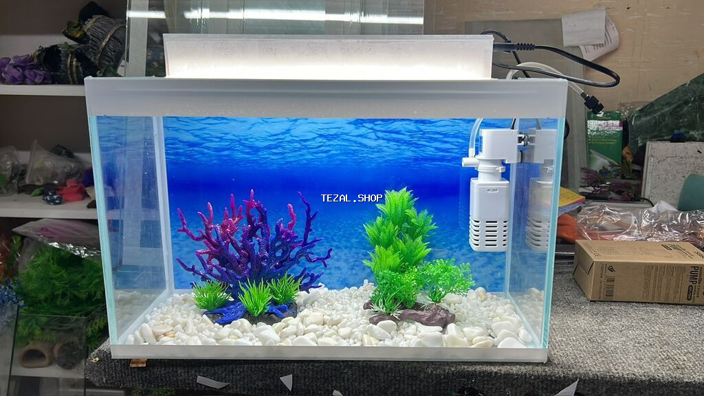 Hazir ölcülərdə akvariumlar var Baliqlar var satişda Dekorlar
