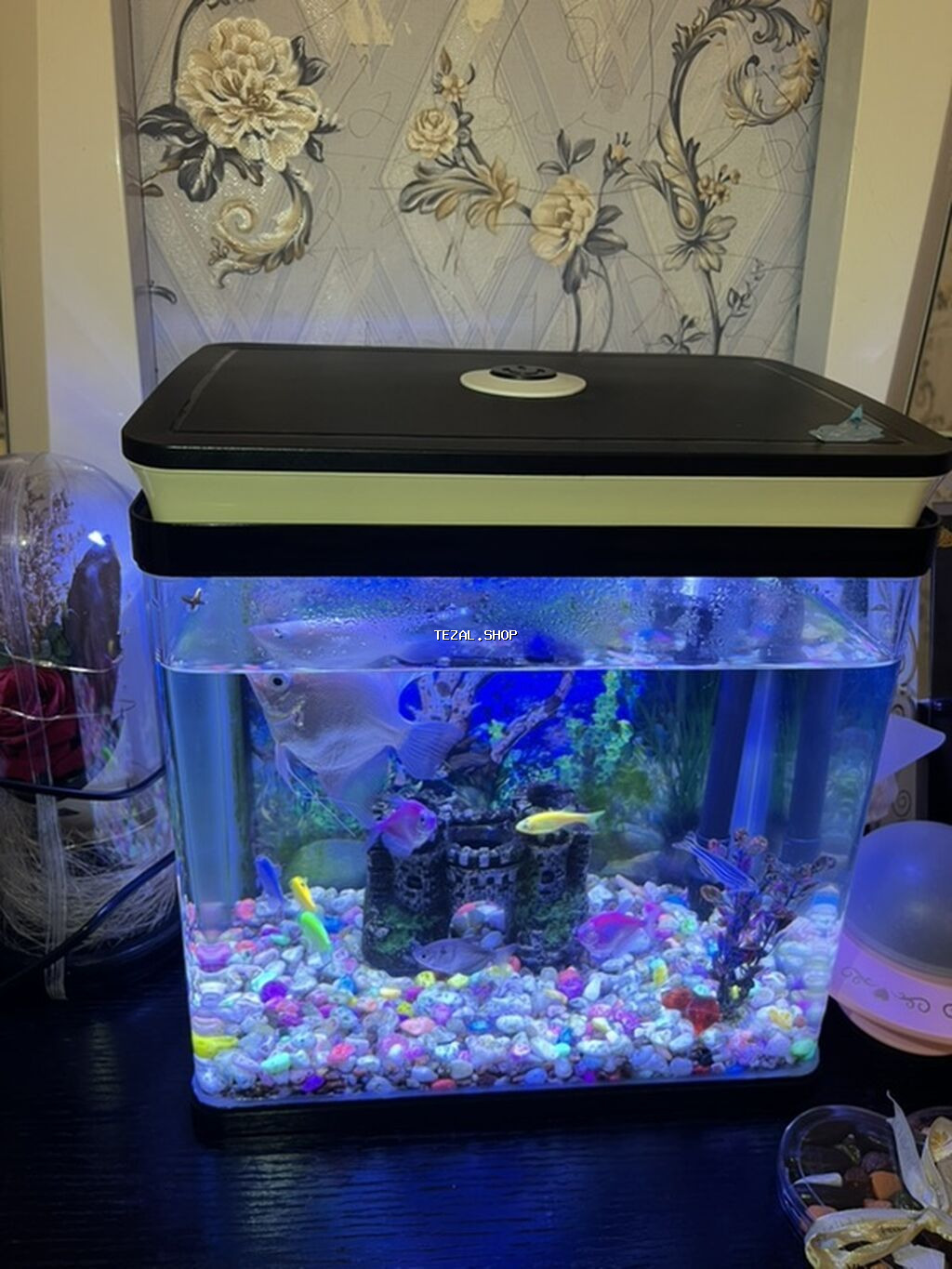 LED işıqlı qapaqlı akvarium dəsti - Kompakt düzbucaqlı akvarium