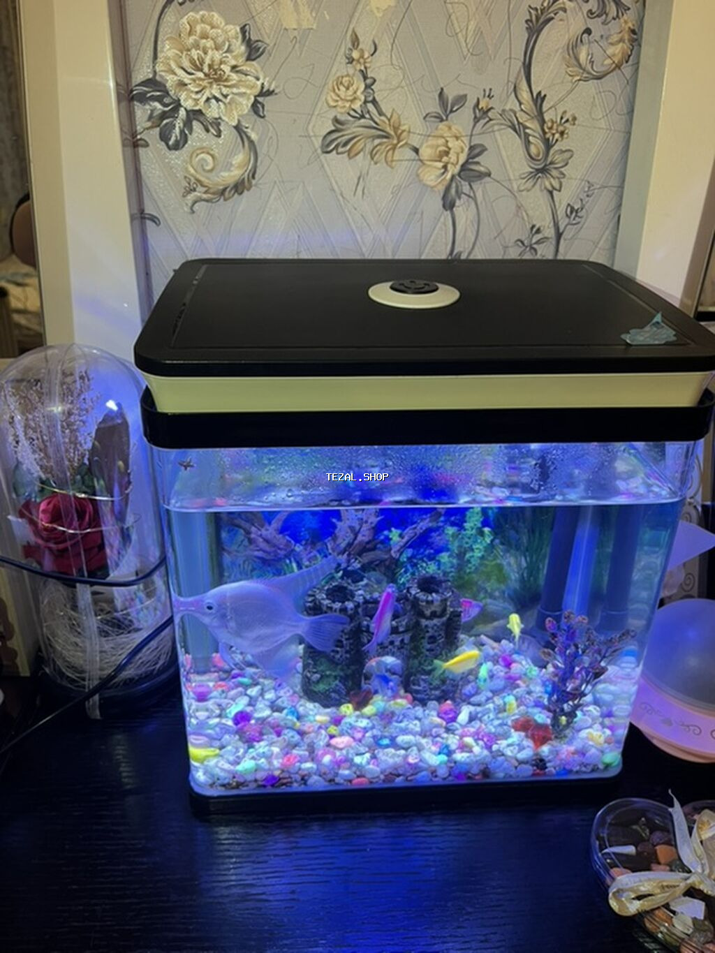 LED işıqlı qapaqlı akvarium dəsti - Kompakt düzbucaqlı akvarium - şəkil 2