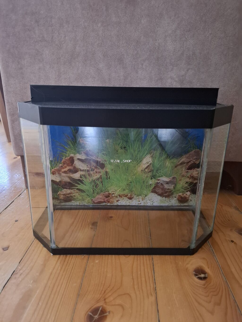 Akvaryum – panoramik dizaynlı, şüşə korpuslu - Ön hissəsi