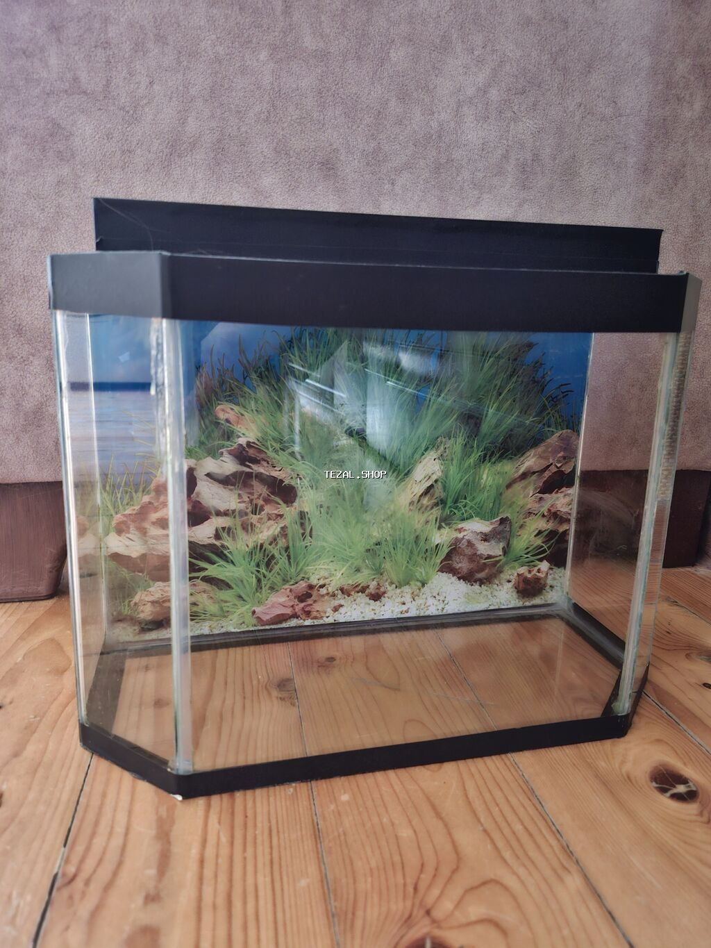 Akvaryum – panoramik dizaynlı, şüşə korpuslu - Ön hissəsi - şəkil 2